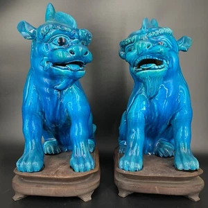 A Chinese of Blue Buddhist Pair of Lions, late 19th early 20th Century on a wood - Picture 1 of 15
