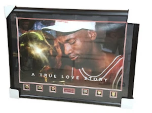 Michael Jordan Chicago Bulls 6 Championship Rings Large Print Framed Fac Auto - Picture 1 of 6
