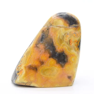 Bumblebee Jasper Freeform - Picture 1 of 5