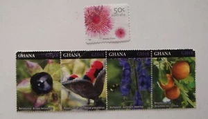 Flowers Flora orchids Ghana Australia 5 different as illustrated - Picture 1 of 3