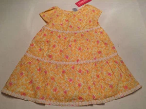 NWT Gymboree Wildflower Fields floral print dress sz 18-24 months - Imagen 1 de 1