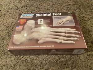 Lindberg  Science Kits Skeletal Foot No.71314