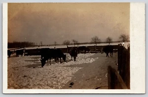 Postal RPPC Pastoreo Ganado en la Nieve Seburgs Fuera de Mármol Minnesota - Imagen 1 de 2