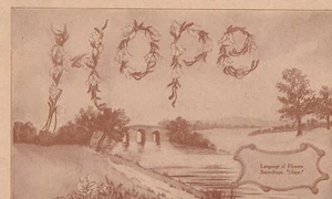 Antique vintagePostcard On the front of the card it says Language of flowers sno - Picture 1 of 2