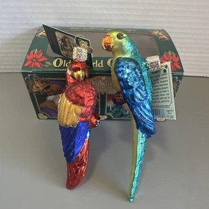 Old World Christmas Parakeet & Macaw Glass Ornament With Box - Picture 1 of 6
