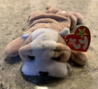 👀“Wrinkles” ❤️Ty Beanie Baby #4103. *RARE, RETIRED *WITH TAG ERRORS!! SEE PICS