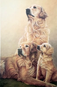 Nigel Hemming, Generations, Golden Retriever, Limited Edition Print Mint - Bild 1 von 1