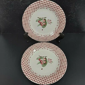 Pfaltzgraff Delicious Apple Salad Lunch Plates 2-9" Red Lattice Gingham EUC - Picture 1 of 6