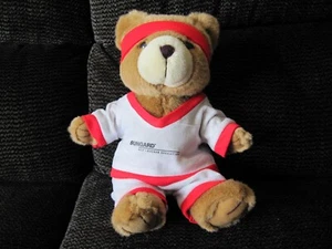 Steven Smith Plüsch Teddybär Sweat Kleidung Band Shirt Hose SUNGARD Logo 9 Zoll - Bild 1 von 7