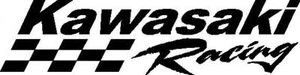 Kawasaki Racing 48" x 11" large trailer decal sticker, any color - Picture 1 of 2