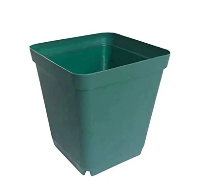  100-Pack 3.15 Inch Square Plastic Seedling Nursery Pots for 8cm/3.14" Green - Image 1 of 4