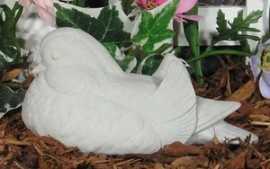 1224 Male Mourning Turtle Love Dove Rock Pigeon Bird Latex Fiberglass Mold - Picture 1 of 2