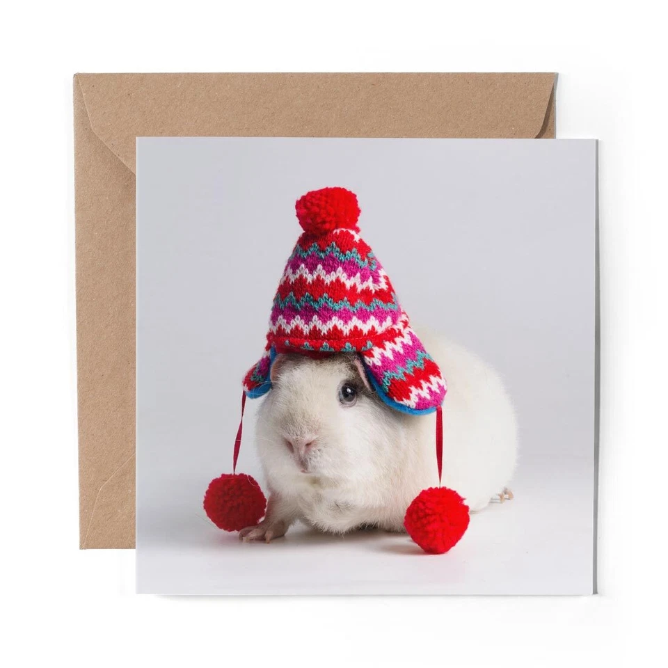 DV DESIGN 1 x Blank Greeting Card White Guinea Pig ny Hat Cute #46423
