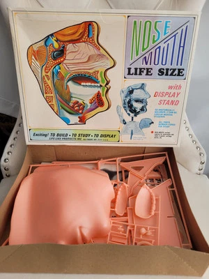Vintage 1968 PYRO Nose Mouth Anatomy Life Size Model Kit  COMPLETE - Image 1 of 4