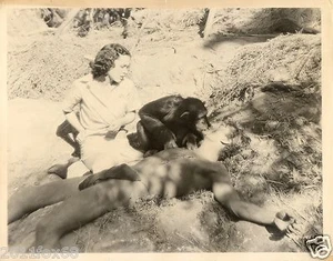 cita,jane,johnny weissmuller,tarzan fotografia originale 26x20 anni 50 photorare - Picture 1 of 1