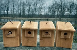4 Cedar Bird Houses, 2 Wren & 2 Chickadee, or Mix & Match, Natural or Scorched - Picture 1 of 6
