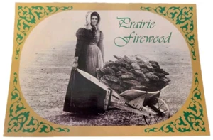 Lakin Kansas Historia Postal Pionera Ada McColl Prairie Leña 1893 Imagen - Imagen 1 de 2