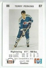 1986-87 Fredericton Express (AHL) Terry Perkins