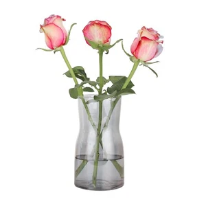 Flower Vase for Decor-Clear Glass Vases for Flowers,Dried Flower Centerpi - Picture 1 of 9