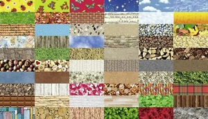 Ursus Motiv Fotokarton ca. 50 x 70 cm (49,5 x 68cm) Auswahl 1 - Bild 1 von 61