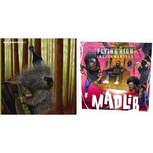 Madlib - Flying High Instrumentals & Low Budget High Fi Music (Color LP Vinyl) - Picture 1 of 3