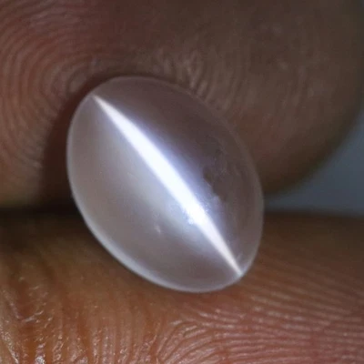 2.07 Cts_Wow Great Loose Stone_100 % Natural Milky White Moonstone Cat's Eye - Image 1 of 3