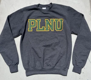 Felpa Uomo Champion Grigio PLNU S College Activewear Palestra NCAA Preppy Casual - Foto 1 di 13