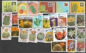 CACTI ON STAMPS 25 ALL DIFFERENT COLLECTION 5/10/24 - Picture 1 of 1