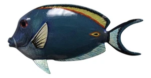 Tropical Fish Tiki Beach Bath Ocean Nursery Wall Blue Tang 6 inch TFW29 - Picture 1 of 1