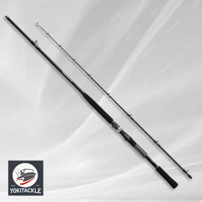 Shimano 23 DEEPGAME 150-210 Big Game Rod für Elektrorolle Versand aus Japan - Bild 1 von 2