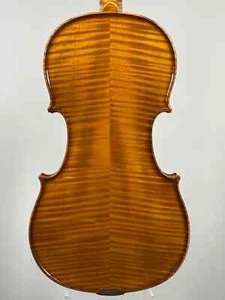 Violín maestro alemán 4/4 de HERMANN DÖLLING JR. Violín Violín Violón - Imagen 1 de 12