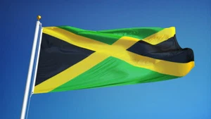 NEW JAMAICA 2x3ft FLAG superior quality fade resist us seller - Picture 1 of 3