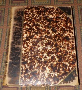 RARE 1874 Raphael's Madonnas - with albumen photos by George G. Rockwood - Picture 1 of 10