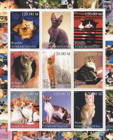 CATS FELINE PET ANIMAL KINGDOM CUTE KITTENS TURKMENISTAN 2000 MNH STAMP SHEETLET Cover