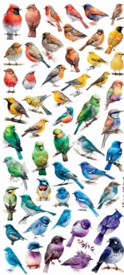 Violette Stickers Mini Rainbow Realistic Birds Crafts Planner Supply Scrapbook