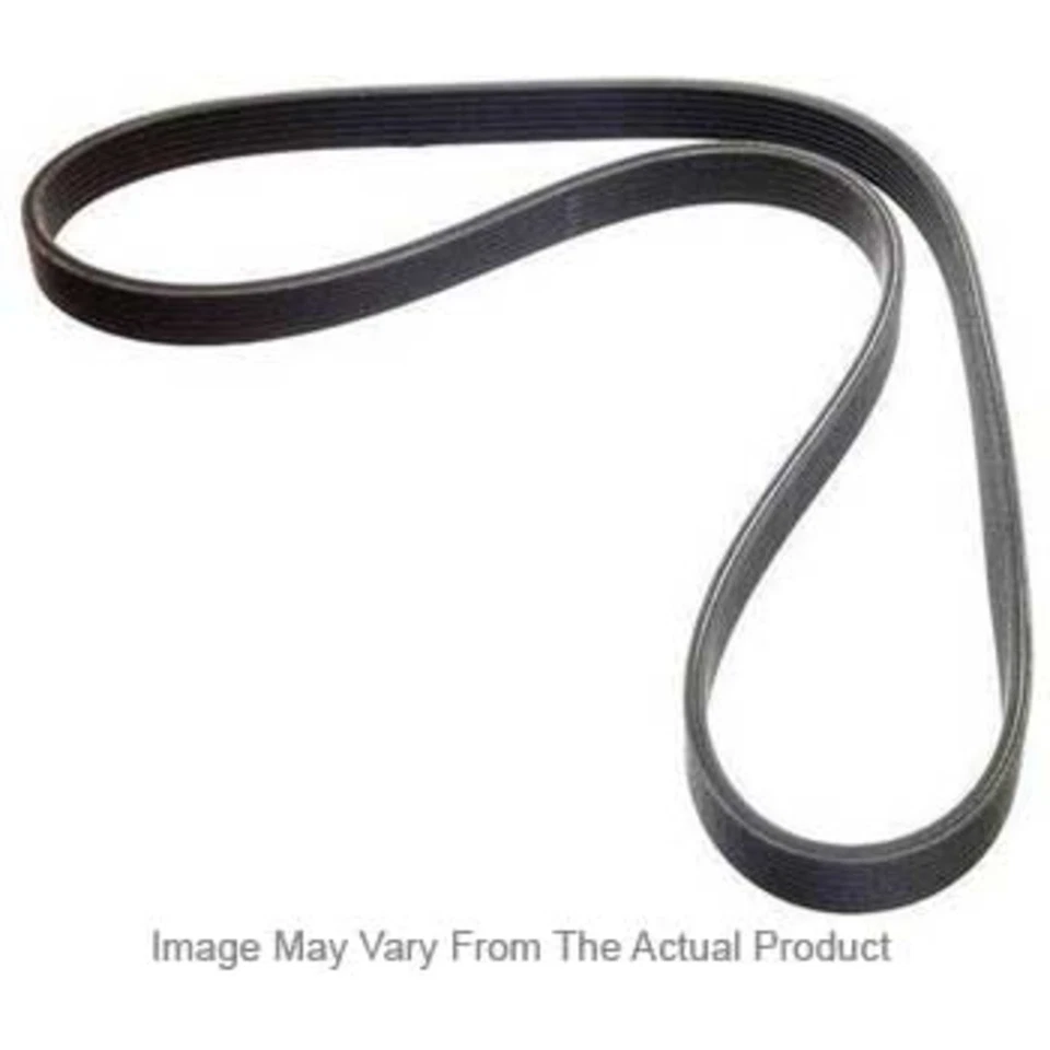 5060273 Dayco Drive Belt for Sprinter Van Dodge 2500 3500 Freightliner 2007-2008 - Image 1 of 1