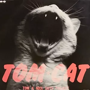 Tom Cat "Tom & Nice Guys Project" Vinyl LP Japan - Bild 1 von 6