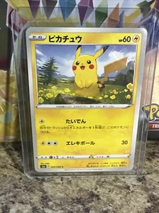 Pokemon Card Japanese Pikachu 026/069 S6a Eevee Heroes NM Card - Picture 1 of 4
