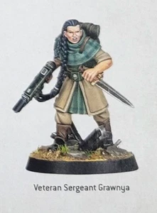 Hell's Last Veteran Sereant Astra Militarum Warhammer 40K Imperial Guard - Picture 1 of 2