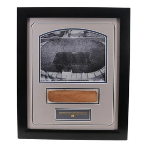 Panca Michigan Wolverines autentica 1927 sette pollici grande casa telaio 17x20 - Foto 1 di 3