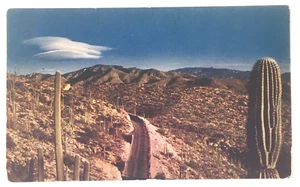 Vintage HIGHWAY THROUGH THE SAGUARDS Photochrome Postcard Mt Lemon Cactus Desert - Picture 1 of 2