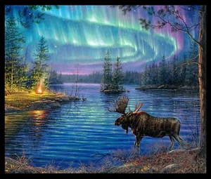 Black Northern Lights Quilt Panel  36In x 44 by Abraham Hunter Collection - Picture 1 of 1