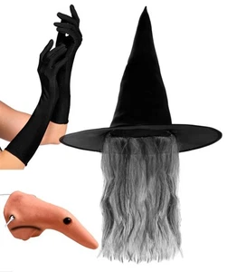 Adult Wicked Witch Costume Gothic Hat With Wig Nose Gloves Halloween Fancy Dress - Picture 1 of 2