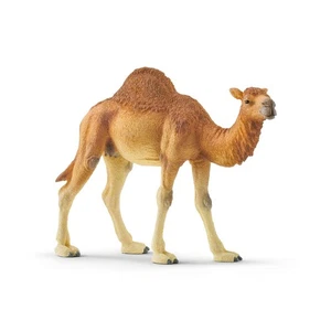 Dromedar Kamel Wild Life Tier Figur von Schleich 14832 - Bild 1 von 1