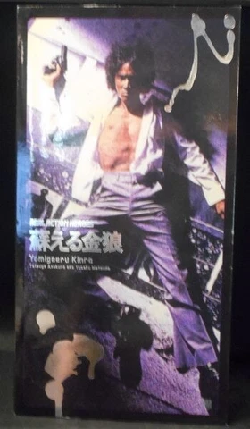 MediCom Toy REAL ACTION HEROES Revival of the Golden Wolf Tetsuya Asakura ak Cover