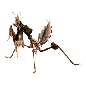 Bandai Gashapon Action Figure ADVANCE Devil's Flower Mantis final larva 15cm - Picture 1 of 4