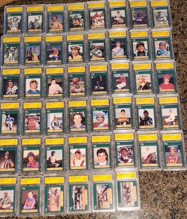 (46) 1991 Horse Star Racing/Jockey Tarjeta Calificada Lote ASD Calificado - Bonito Lote Foto 1 de 1