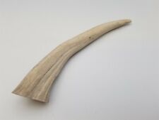 Elk Antler Tip for Custom Fixed Blade Knife Making Awl Handle Powder 7 3/8" long