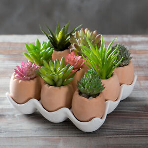 MyGift 10 pc Set Beige Eggs Design Ceramic Mini Succulent Planter Pots with Tray
