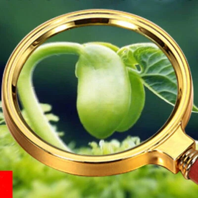 10X Handheld Magnifier Mini Reading Magnifying Glass Lens Jewelry Loupe - Image 1 of 4